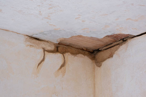 Best Water damage cleanup near me  in Cornish, ME