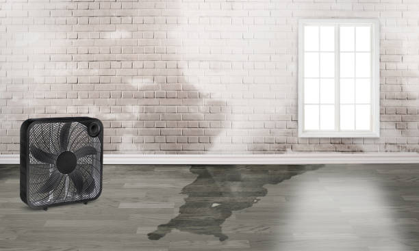 , ME Water damage restoration Company
