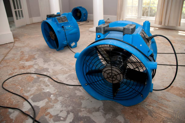 Best Sewage cleanup and water damage restoration  in Cornish, ME