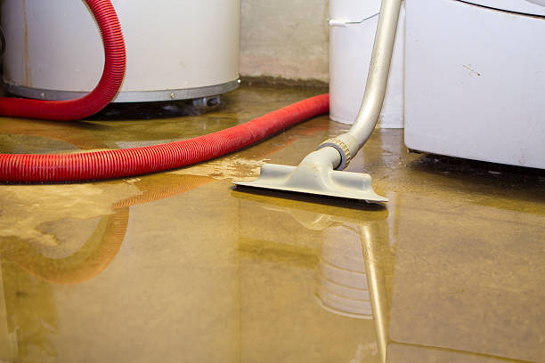 Best Water damage contractors near me  in Cornish, ME