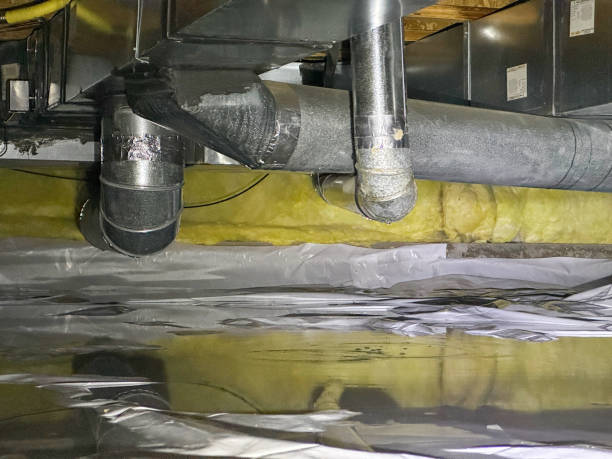 Best Basement water damage restoration  in Cornish, ME