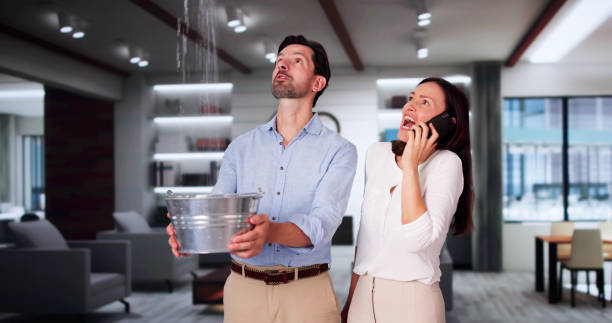 Best Water damage restoration near me  in Cornish, ME