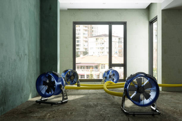 Best Water damage restoration process  in Cornish, ME