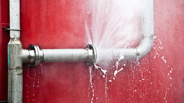 Best Water damage restoration experts  in Cornish, ME